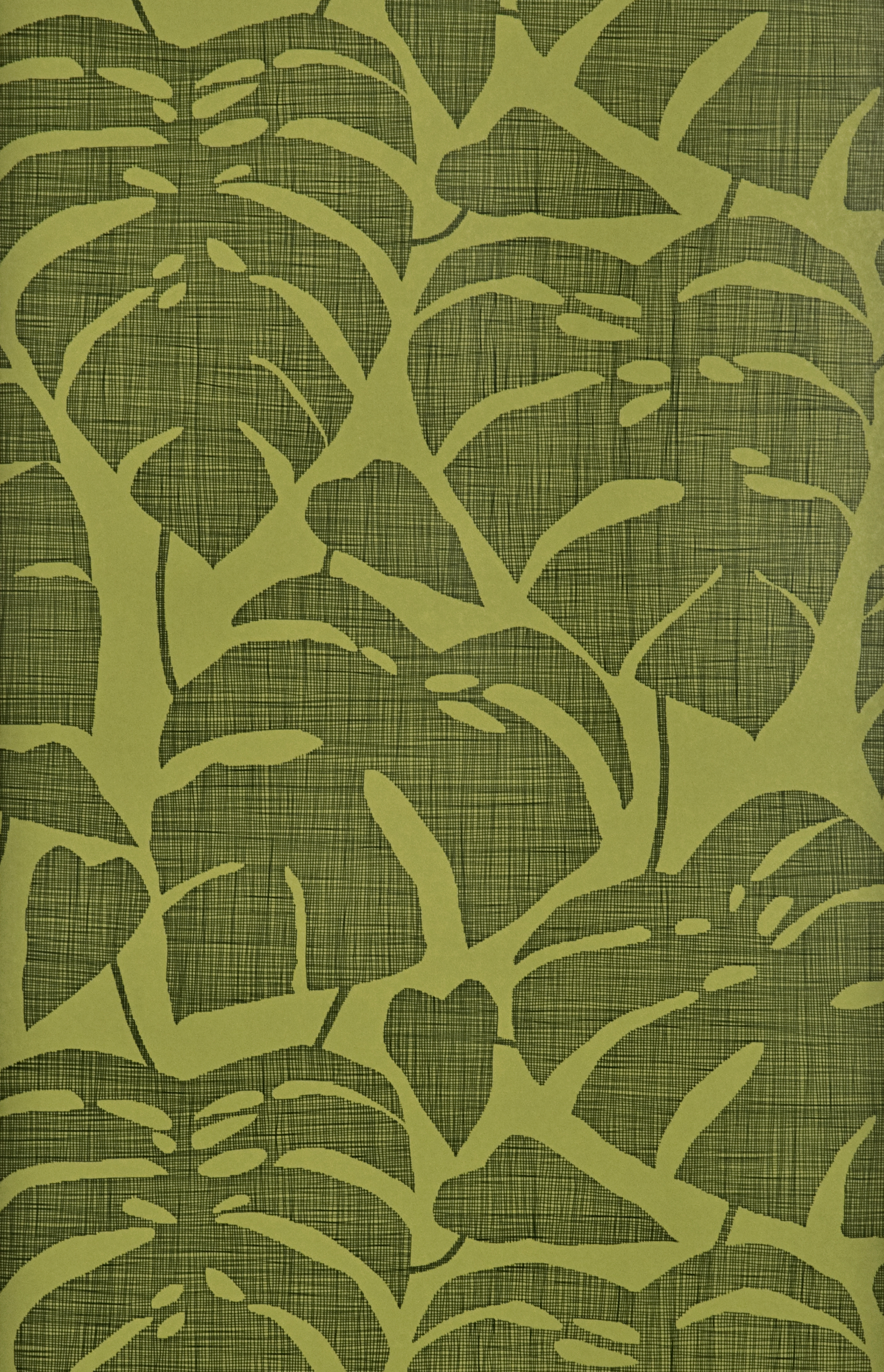 Guatemala Forest