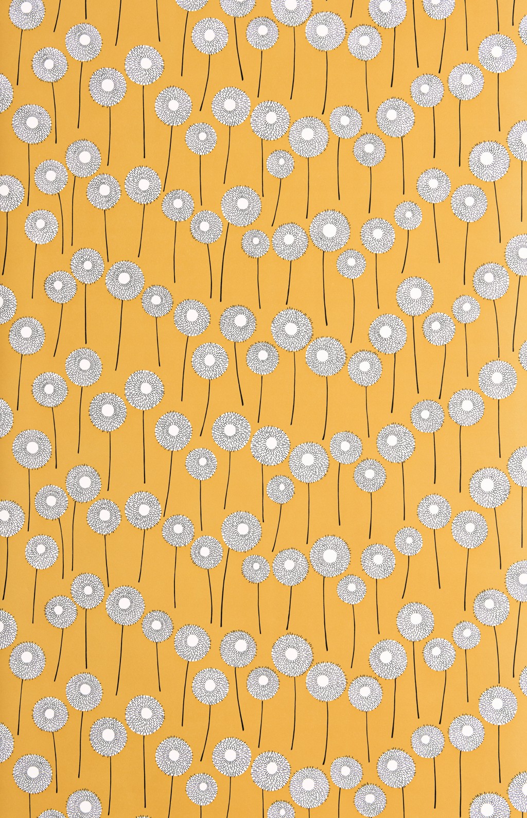 Meadow Goldfield
