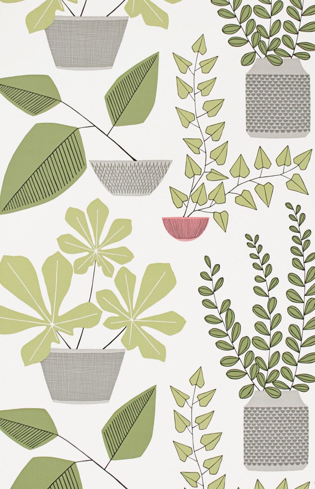 House Plants Olive Wallpaper