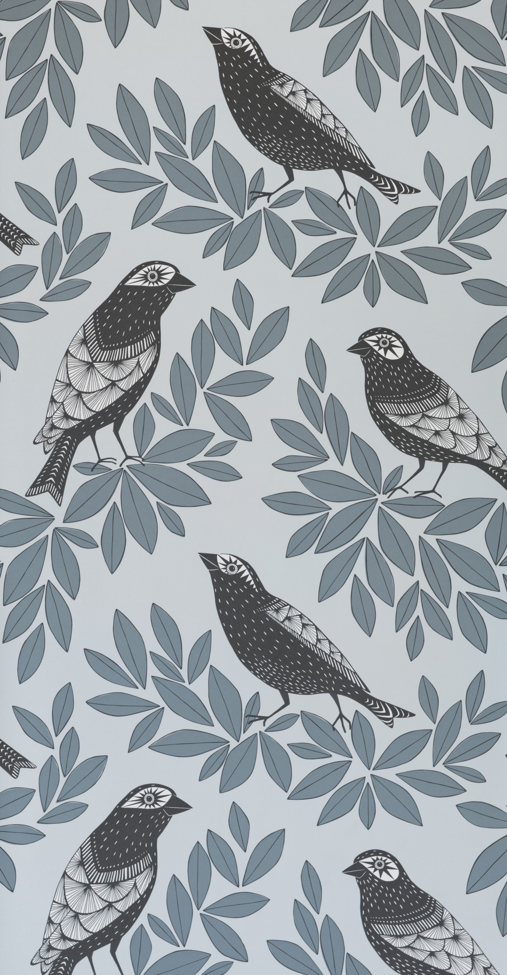 Songbird Dawn Wallpaper