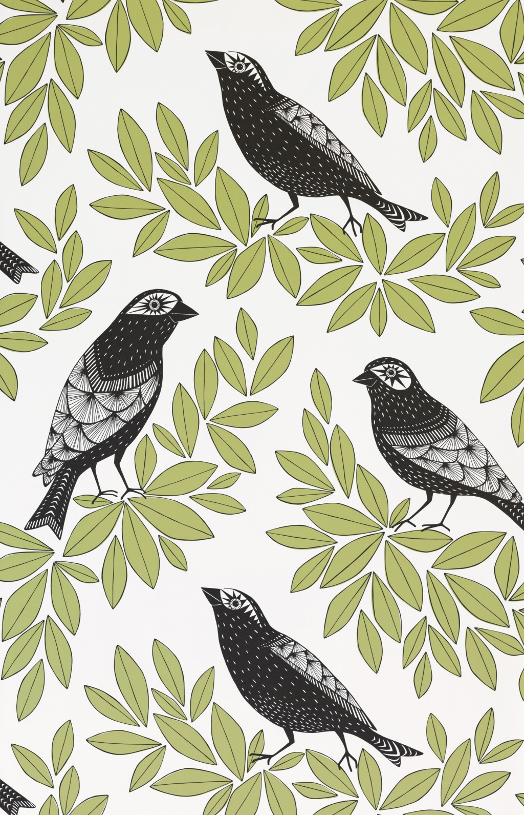 Songbird Wallpaper