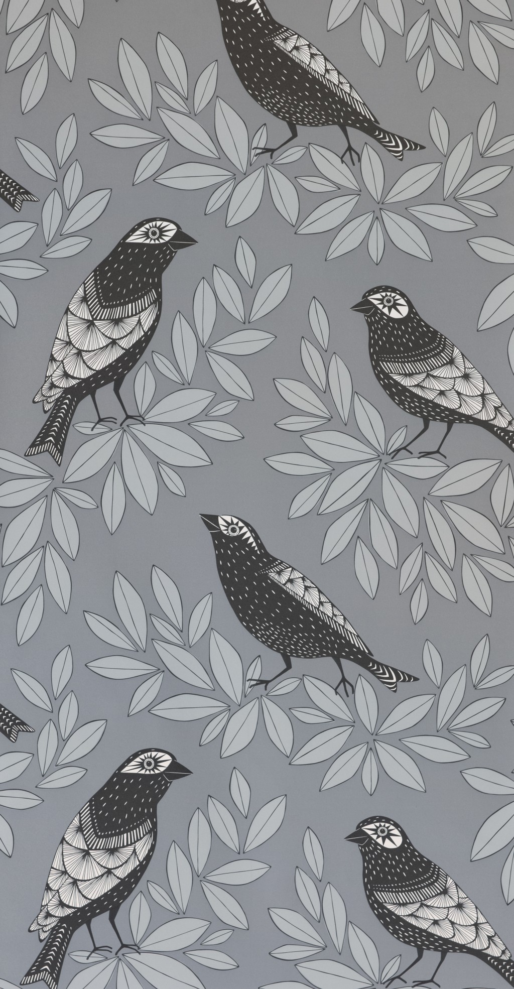 Songbird Slate Wallpaper