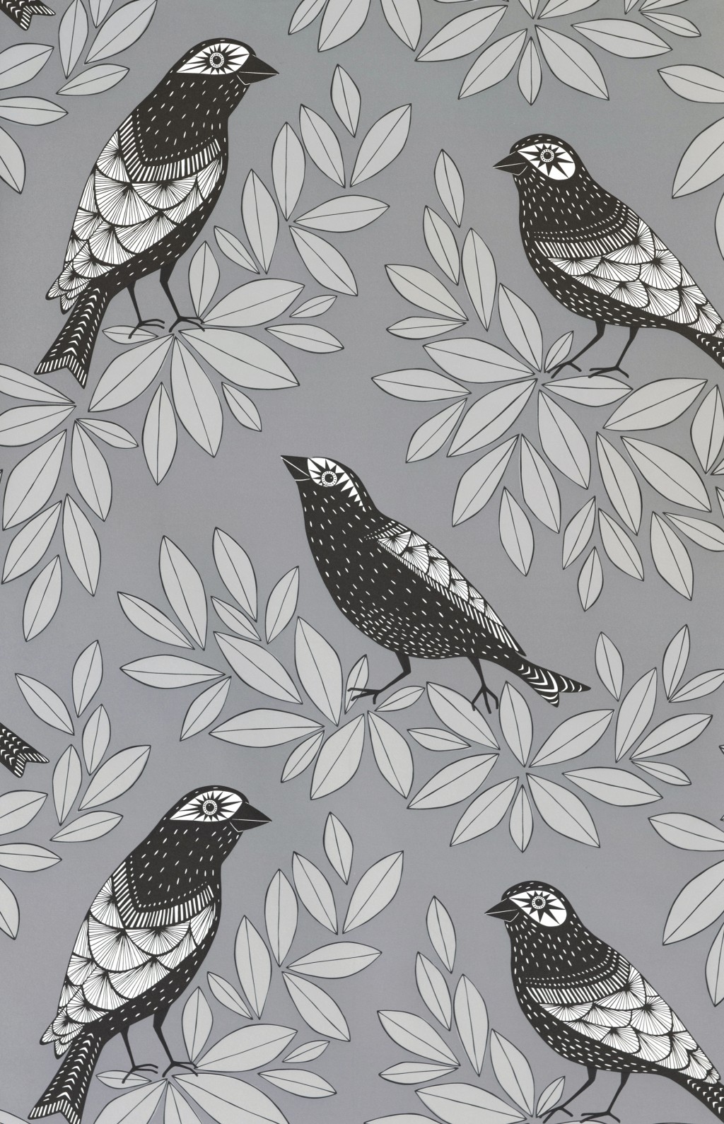 Songbird Wallpaper Lifestyle