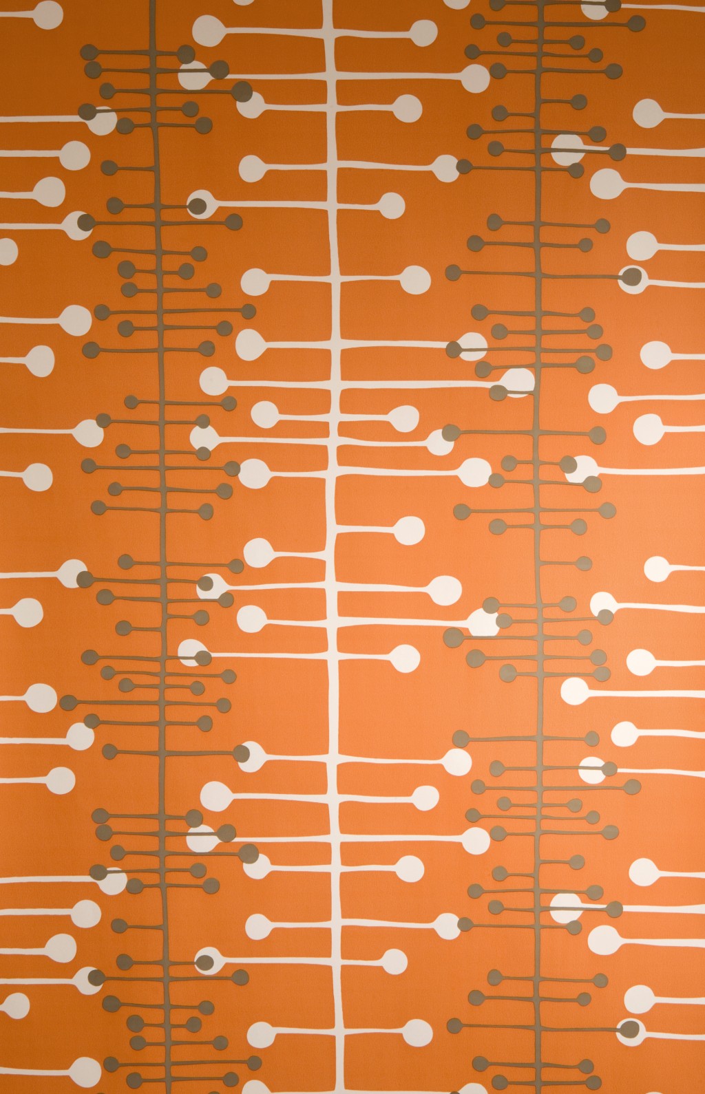 Muscat Orange Wallpaper