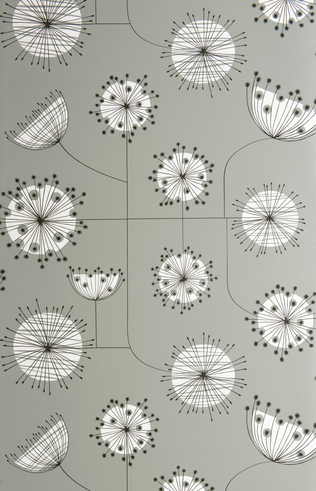 Dandelion Mobile Wallpaper 