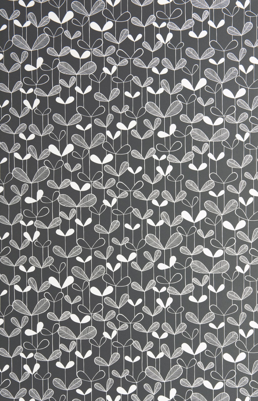 Saplings Graphite Wallpaper