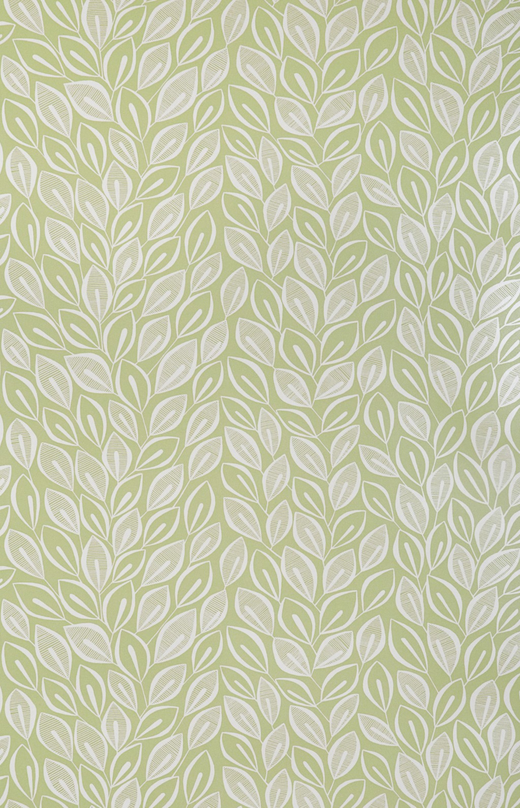 Leaves Absinthe With White Wallpaper