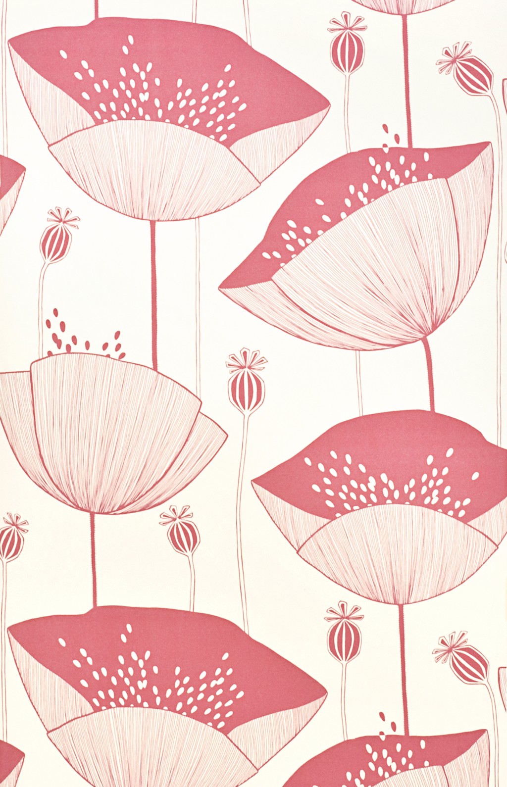 Poppy Blush Wallpaper