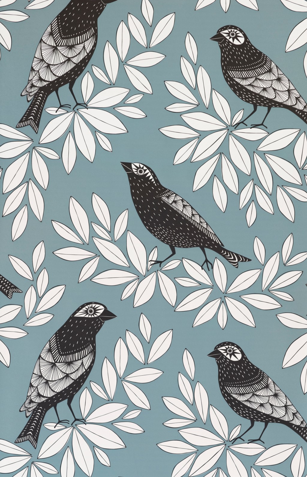 Songbird:Blue Jay