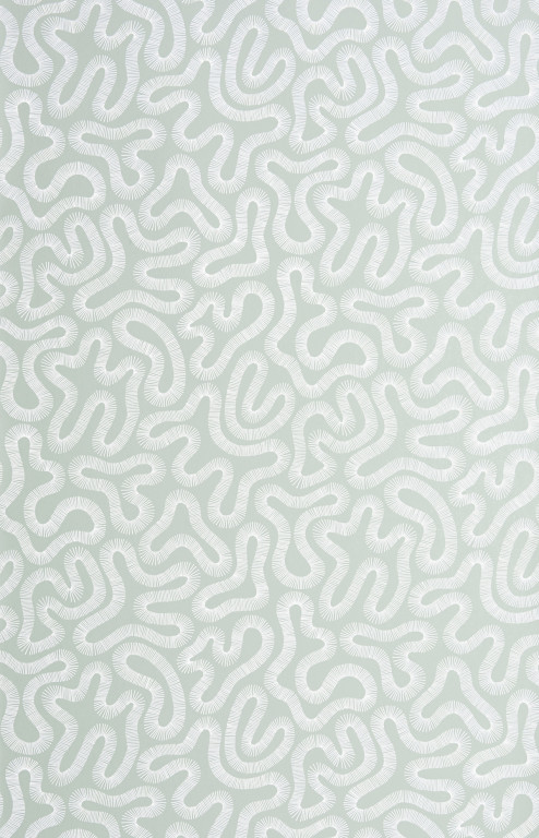 Coral Celeste Wallpaper