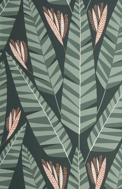 Jungle Rainforest Wallpaper