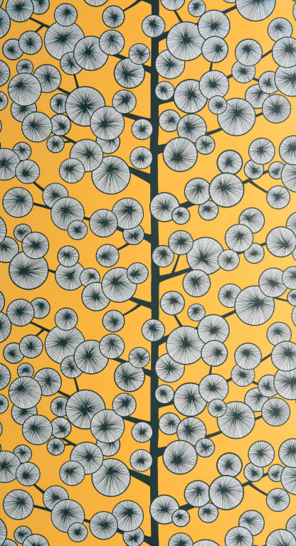 Cotton Tree Sunray Wallpaper