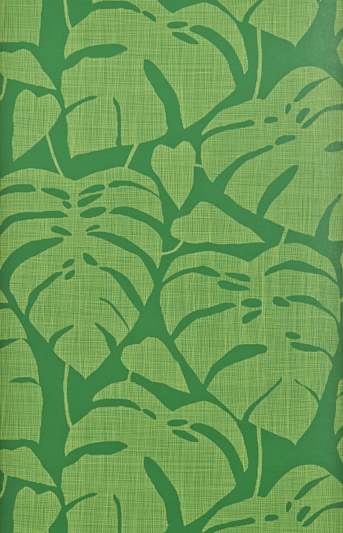 Guatemala Tropics Wallpaper