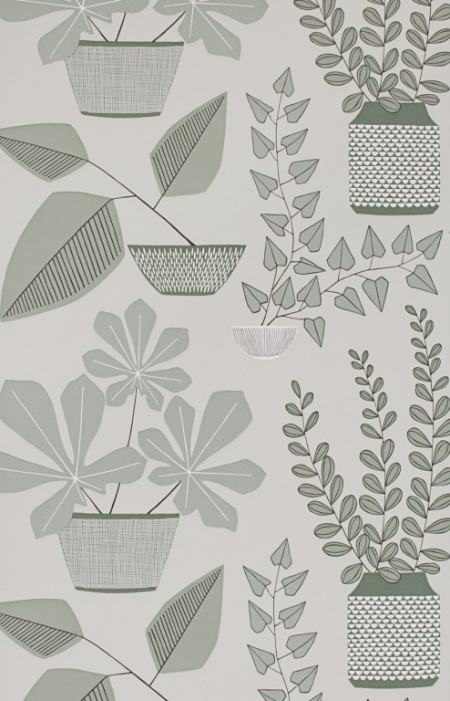 House Plants Brampton Wallpaper