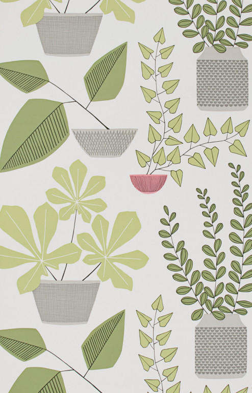 House Plants Olive Wallpaper