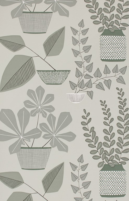 House Plants Brampton Wallpaper