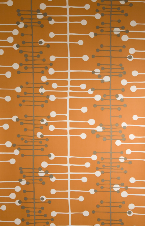 Muscat Orange Wallpaper