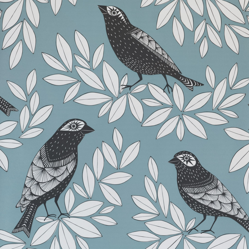 Songbird Blue Jay Wallpaper