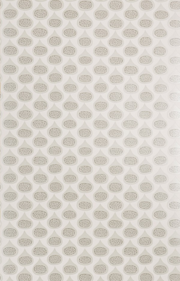 Figs Cygnet Wallpaper