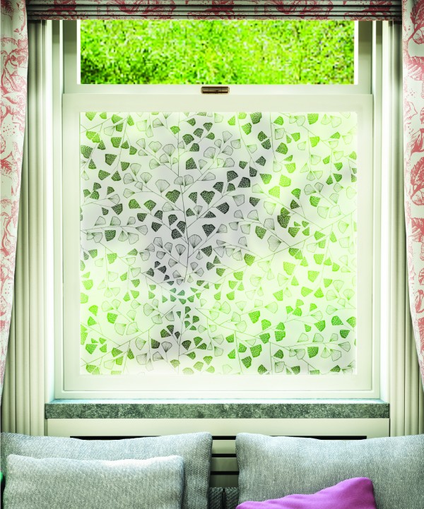 Sample Film Fern:Clear on Frost