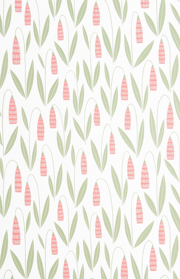 Snowdrops:Chintz