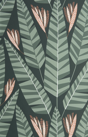 Sample Wallpaper Jungle:Rainforest