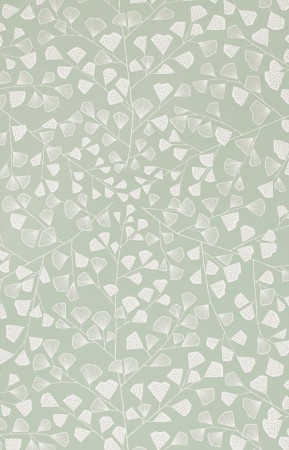 Sample Wallpaper Fern:Mist