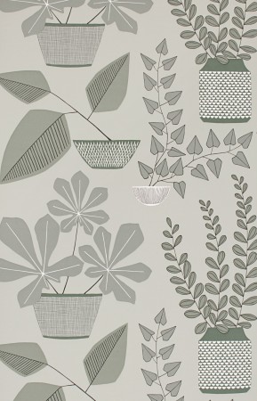 Sample Wallpaper House Plants:Brampton