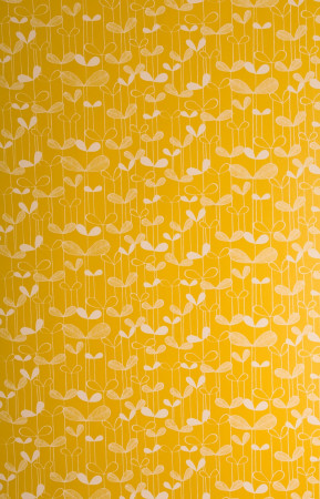 Sample Wallpaper Saplings:Sunflower Yellow with White