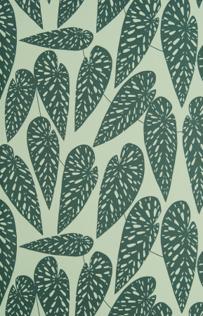 Sample Wallpaper Tropics:Jungle