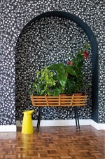 Fern Wallpaper Lifestyle