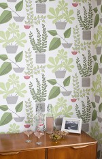 House Plants Wallpaper Lifestyle