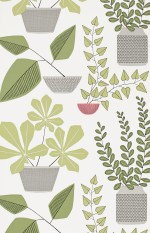 House Plants Olive Wallpaper