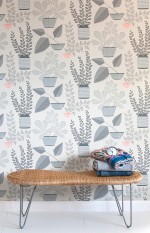 House Plants Wallpaper Lifestyle