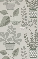House Plants Brampton Wallpaper