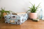 Lifestyle A4 Storage Box 2