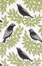 Songbird Wallpaper 