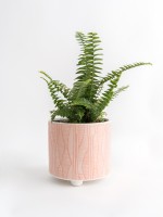 Single Ceramic Planter