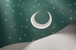 To The Moon: Teal Wallpaper