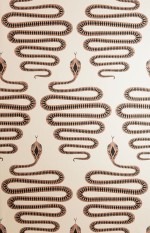 Snakes: Putty & Clay Wallpaper
