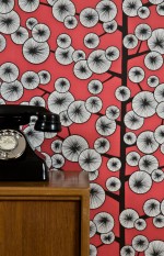 Cotton Tree Wallpaper Lifestyle