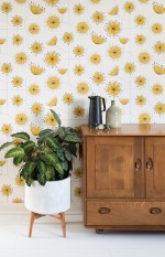 Dandelion Mobile Wallpaper Lifestyle