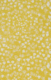 Fern Citrus Wallpaper