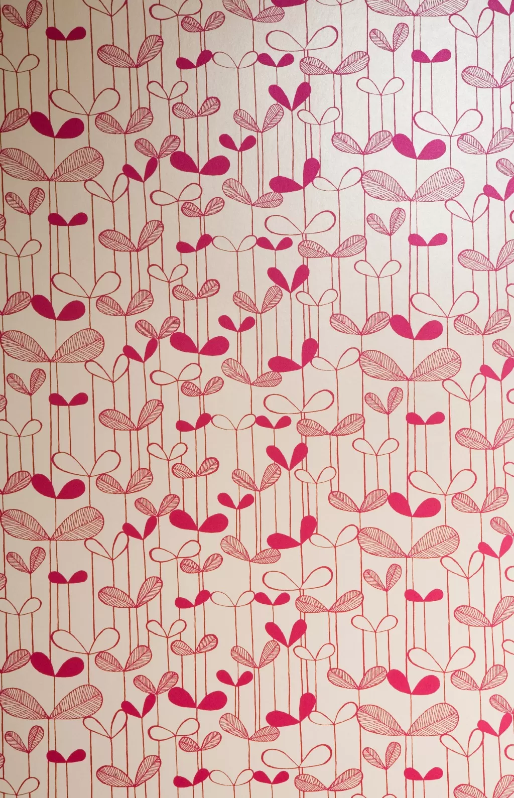 Saplings:Cream with Pink