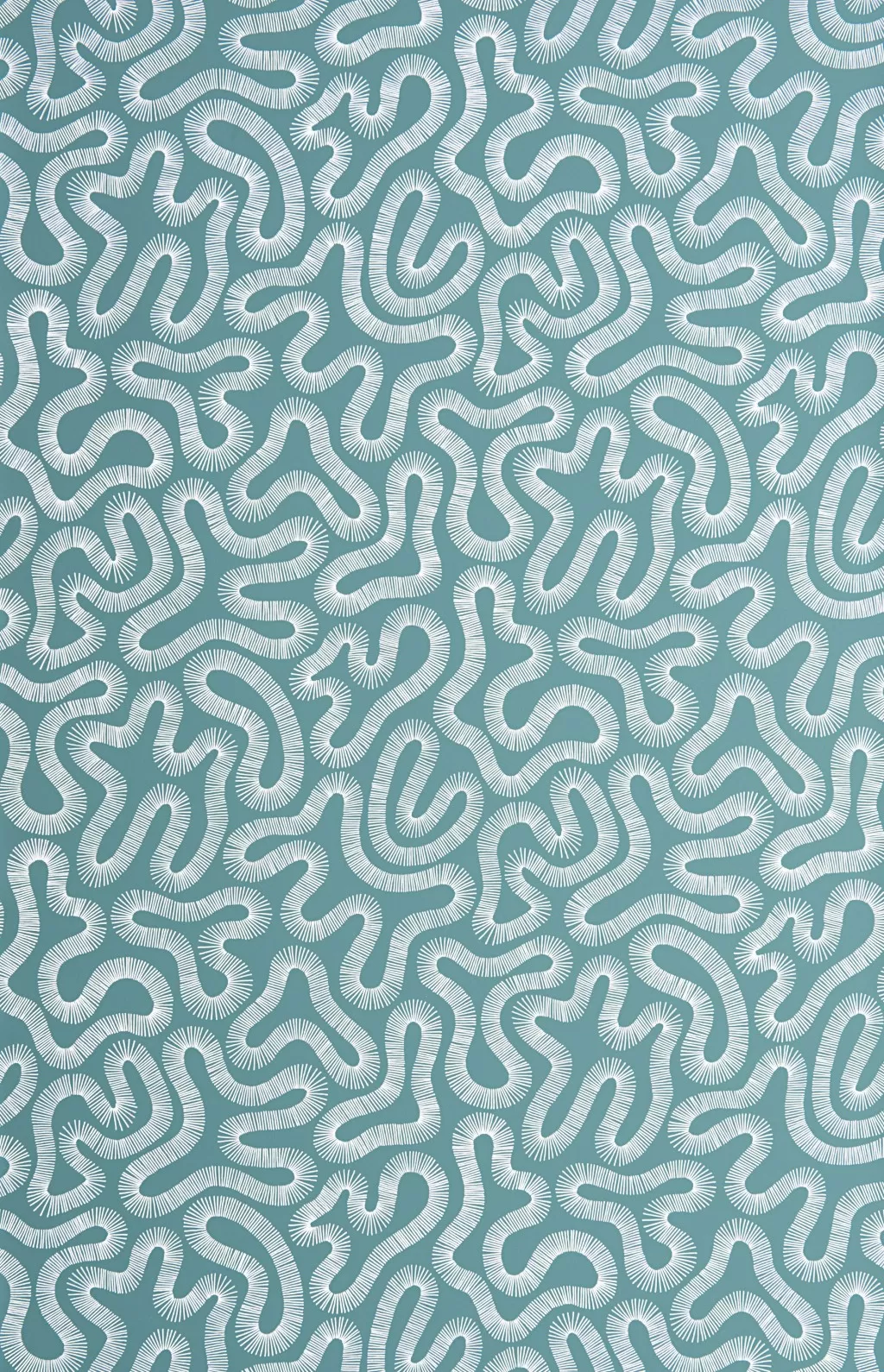 Coral:Teal