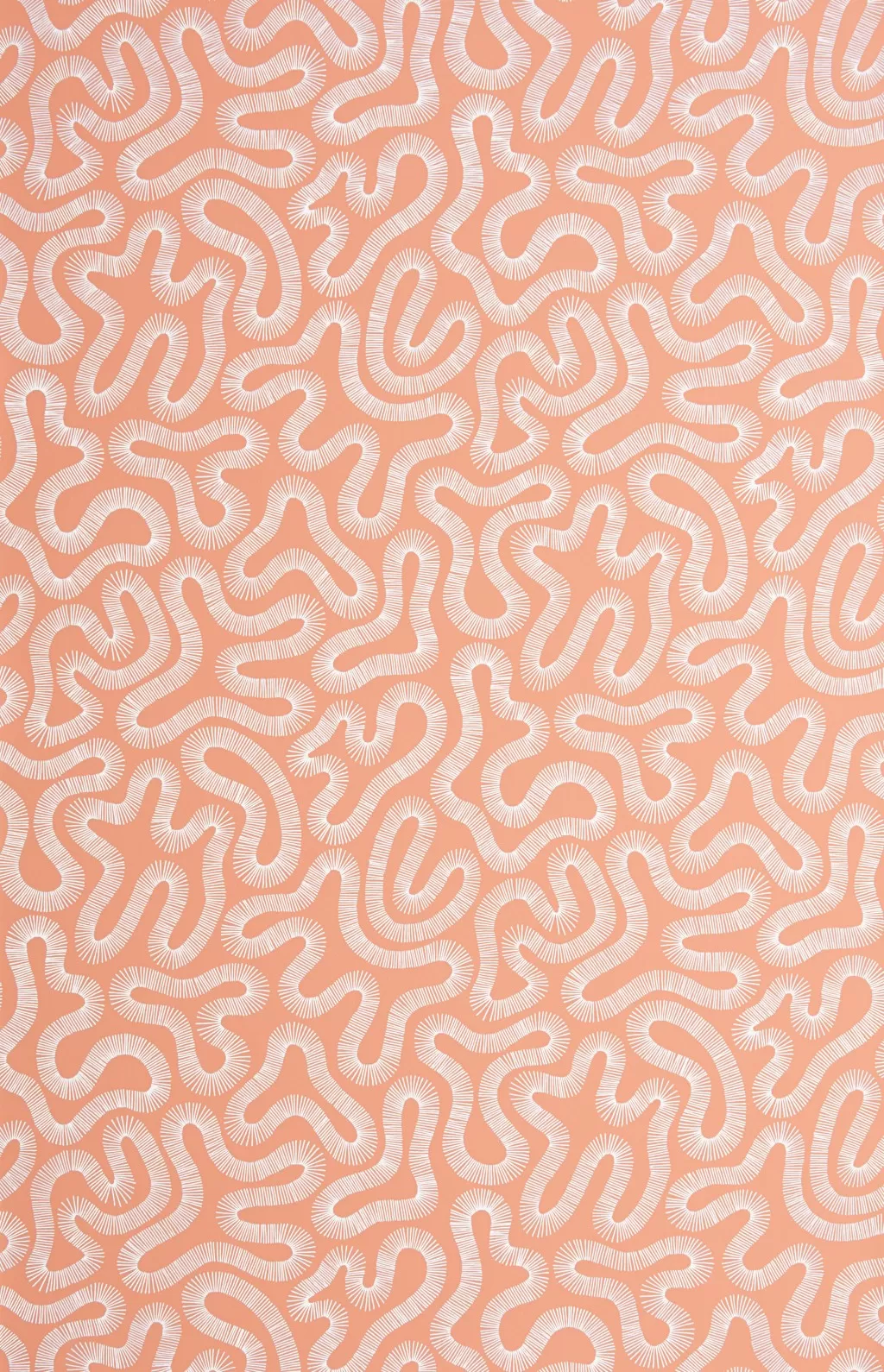 Coral:Peach Blush