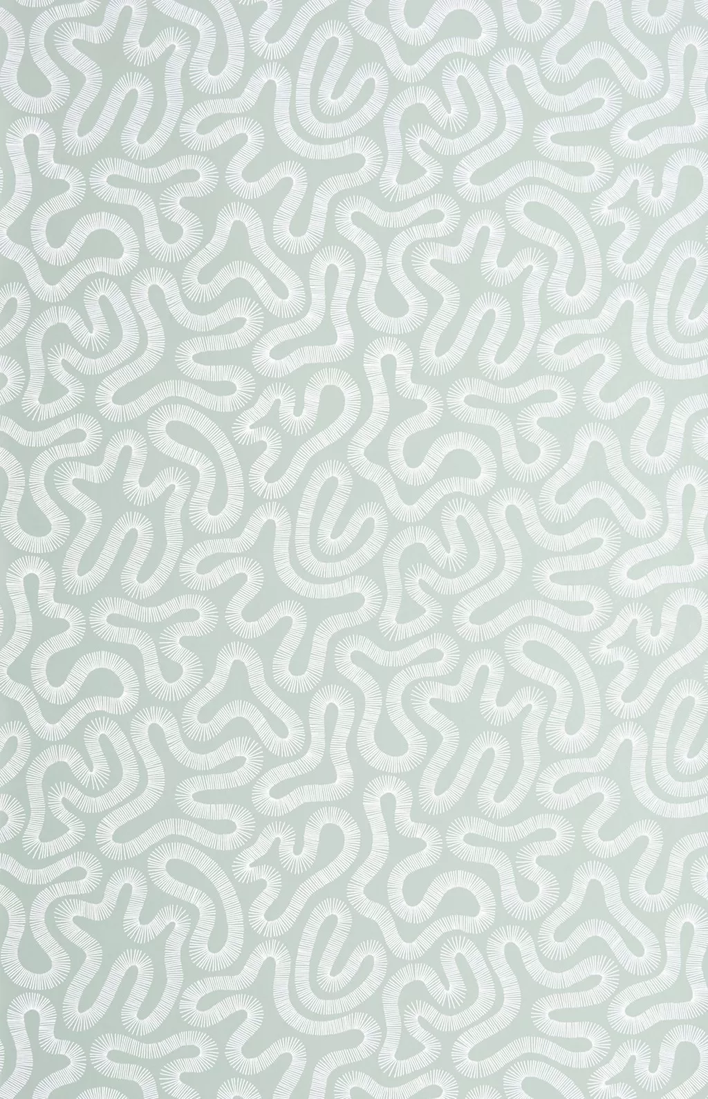 Coral:Celeste