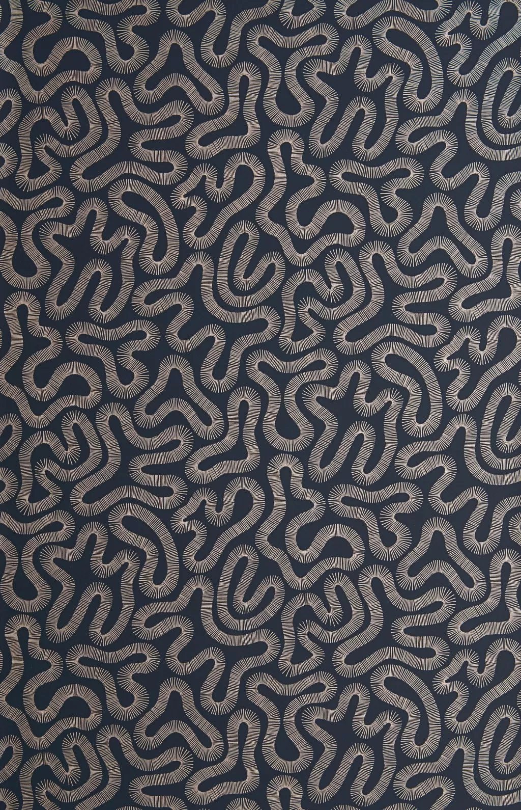 Coral:Fossil