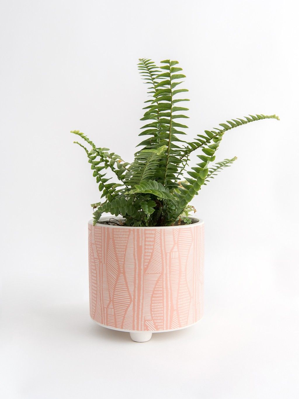 Skylark: Single Ceramic Planter