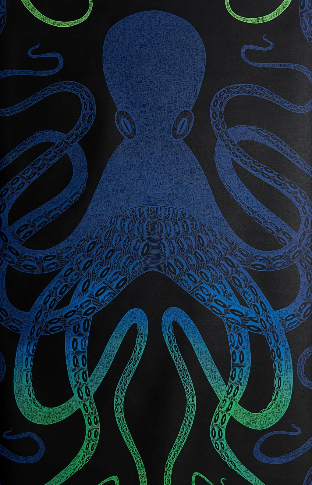 OMBRE OCTOPUS: Blue/Green
